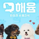 펫해윰 이미지