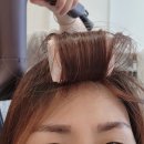코코리헤어갤러리
