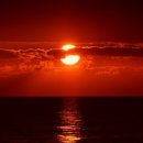 시티번역행정사사무소 이미지