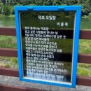 4일 9일에 정기시장이 열리는 영월 전통시장 덕포 5일장