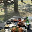 강원도 홍천 여행 비발디파크 놀거리 야외 식당 시골장터 후기