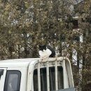 용설바람스테이 이미지