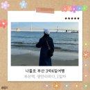 광안4-203 | [부산] 나홀로 부산여행 3박4일 _1일차🚄🌈 영동밀면, 광안사카바, 민락회타운, 대선소주, 광안리소품샵...