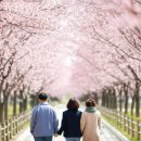 부광목장 이미지