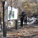 지리산 단풍비 이미지