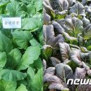 여수축산유통 이미지