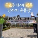 오산시립 지역아동센터 | 무료주차에 넓은 강아지 운동장까지 가성비 최고 오산동물농장테마파크 다녀온 후기