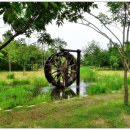 세움공인중개사사무소 이미지