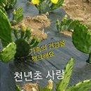 어우리농장