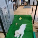 36식자재 이미지