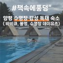 책속에풍덩Villa | 경기 양평 감성 독채 책속에풍덩 수영장 바베큐 데이유즈 인원추가 가격