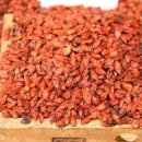 건구농장 이미지