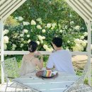하룻 강아지 | 강화도 여행 코스 BEST7, 당일치기부터 1박 2일까지 총정리