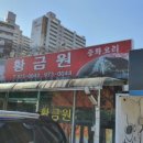 황금원
