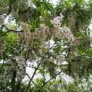 반계로-2 이미지