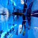 마산해양레포츠센터 이미지