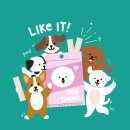 부산경상대학교 반려견유치원 이미지