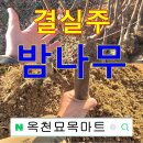 대보마트 이미지