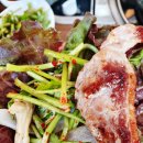 하계생오리 이미지