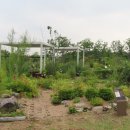 서울식물원 Daum카페