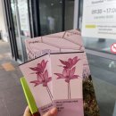 스카이가요주점 - 달서구 성서공단로11길 70-15 | 2025 12.｜여자 셋의 동해 묵호여행(맛집추천) 그리고 샤롯데씨어터 킹키부츠 후기