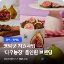 사례농장 | 메이커스]2025 영암군 청년농업인 스타트업 지원금 활용 사례 : 동결건조 브랜드 '다우농장' 올인원 브랜딩