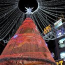 "부산 크리스마스 트리 문화축제" 이미지