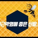 조야엠베테마사이워킹