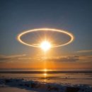 나라유통 이미지