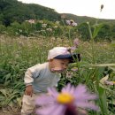 똘똘이 목장 이미지