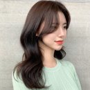 제안헤어