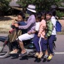 베트남 탐방기 -2편[언어] 이미지