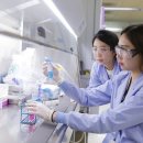 LG연구소정문 이미지