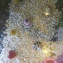 앤 노래연습장 이미지