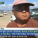 바다생선구이 이미지