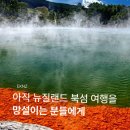 대자연어린이집 | &#39;아직도&#39; 뉴질랜드 북섬 여행을 망설이는 분들에게