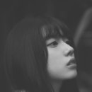 신세휘 카카오 검색결과