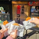 (유)유일렌트카 | 후쿠오카 3일차, 4일차 요기조기고기꽁치