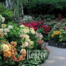 스테이서곡 이미지