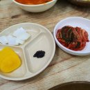 그린반점 이미지