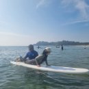 남열리 소금창고 이미지