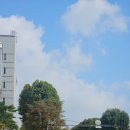 일성덤프 이미지