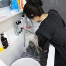 원사랑미용실 네이버블로그