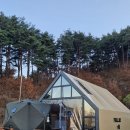대구 글램핑장 팔공산 트리풀 FULL 02 A동 1박 후기 (시설 상세 소개)