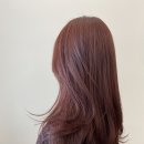 유정헤어디자인 네이버블로그