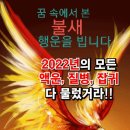 2022년 모든 액운 다 잡아갈 불새 선물합니다 이미지