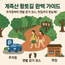 계룡산임도삼거리(입구) | 계족산 황토길 완벽 가이드: 주차장부터 맨발 걷기 코스, 맛집까지 한눈에!