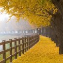 아산만로 이미지