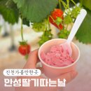 걸미로 | 안성 근교 진천 아이랑 가볼만한곳 딸기체험은 안성딸기따는날