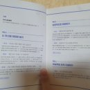 데이비드파이브